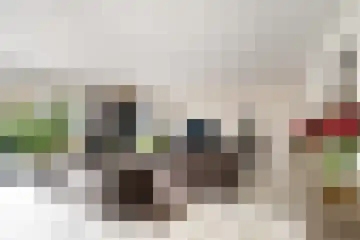 Bisschopsberg 4 Zoetermeer thumbnail 12