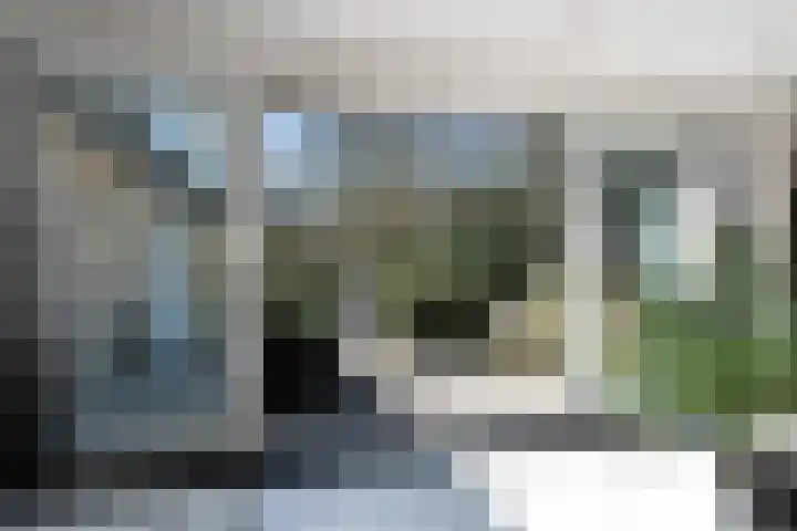 Bisschopsberg 4 Zoetermeer thumbnail 15