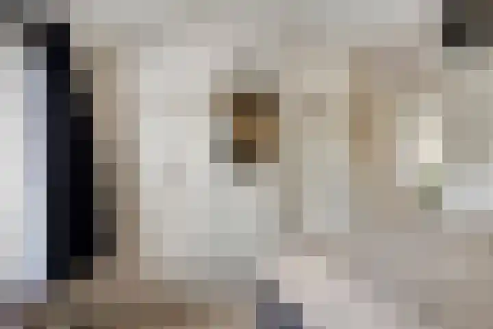 Bisschopsberg 4 Zoetermeer thumbnail 20