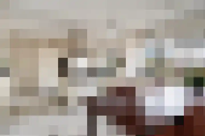Bisschopsberg 4 Zoetermeer thumbnail 22