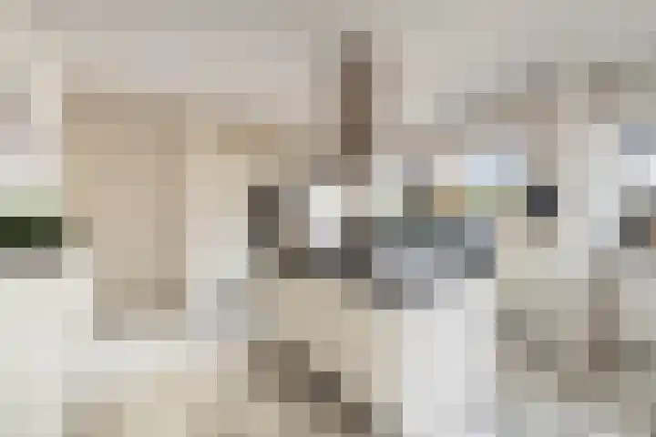 Bisschopsberg 4 Zoetermeer thumbnail 23