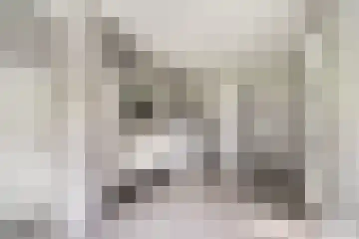 Bisschopsberg 4 Zoetermeer thumbnail 30