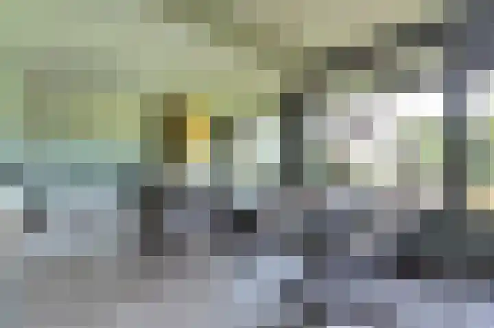 Bisschopsberg 4 Zoetermeer thumbnail 32