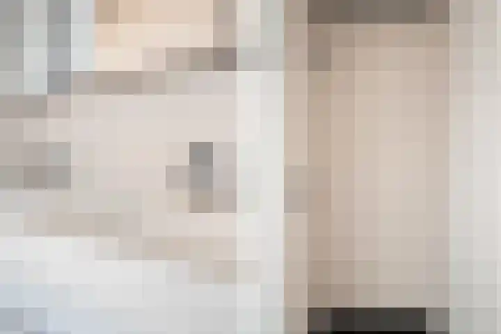 Bisschopsberg 4 Zoetermeer thumbnail 36