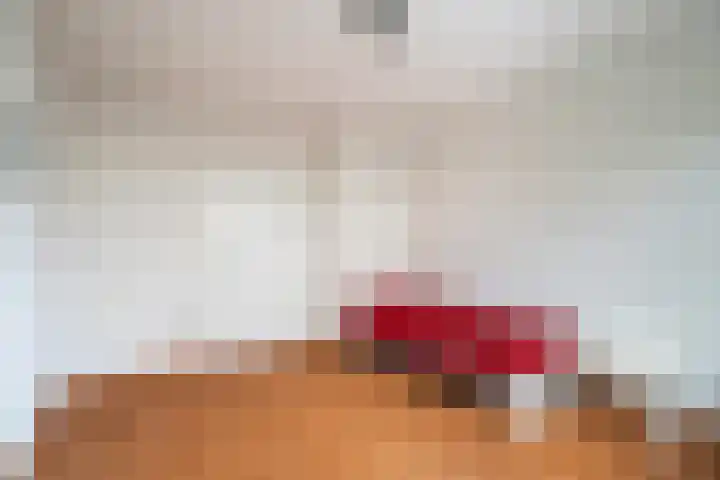 Bisschopsberg 4 Zoetermeer thumbnail 39