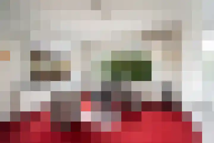 Bisschopsberg 4 Zoetermeer thumbnail 40