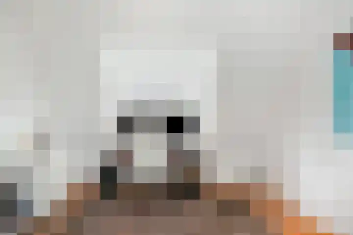 Bisschopsberg 4 Zoetermeer thumbnail 41