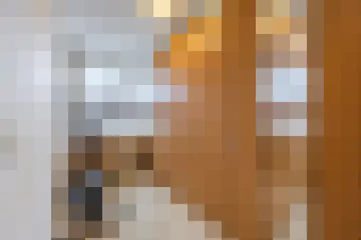 Bisschopsberg 4 Zoetermeer thumbnail 48
