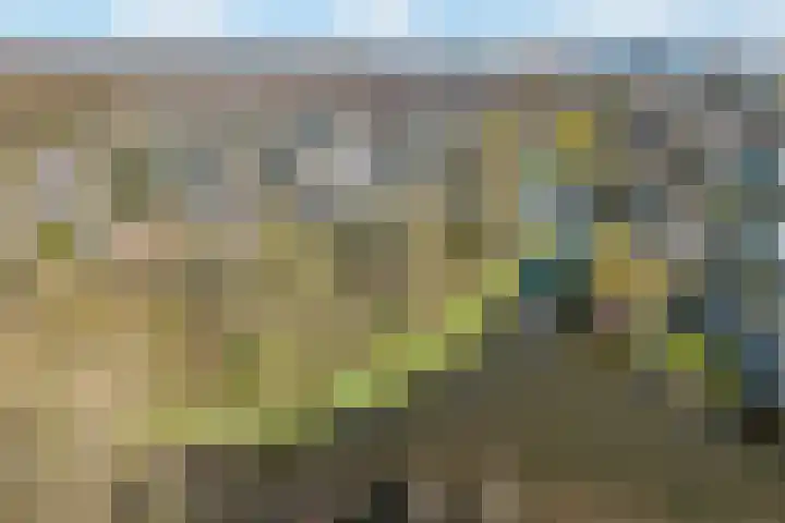 Bisschopsberg 4 Zoetermeer thumbnail 57