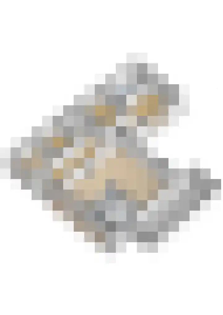 Bisschopsberg 4 Zoetermeer thumbnail 59