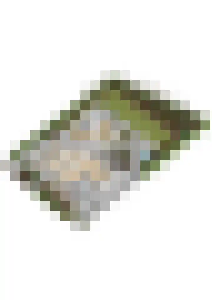 Bisschopsberg 4 Zoetermeer thumbnail 62