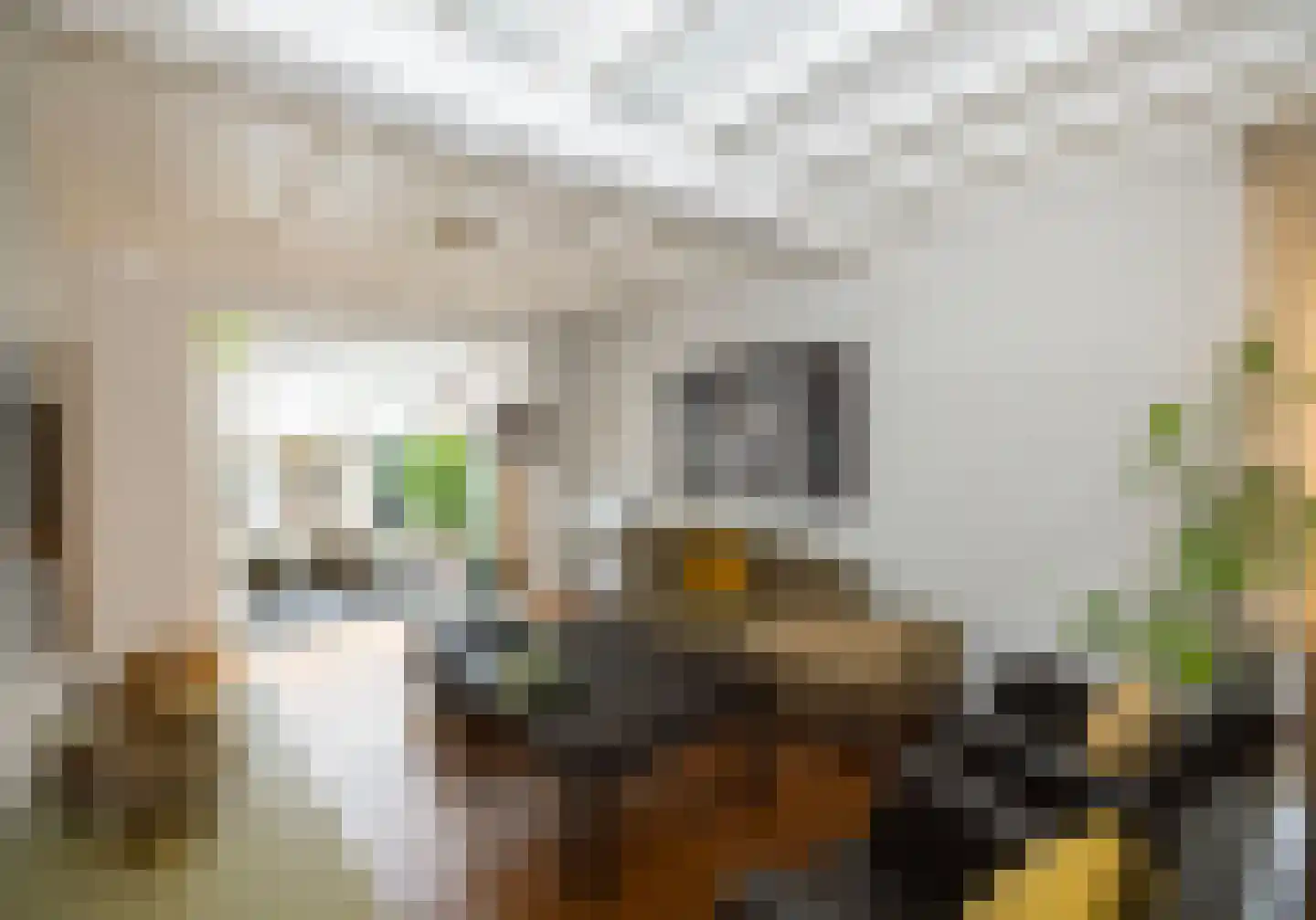 Bitswijk 16 Uden thumbnail 11