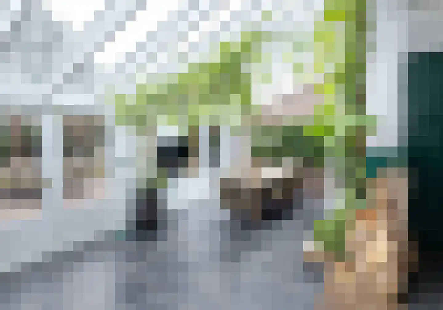 Bitswijk 16 Uden thumbnail 14