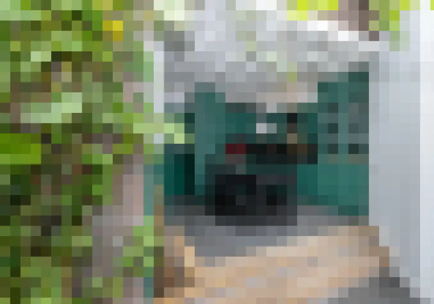 Bitswijk 16 Uden thumbnail 16