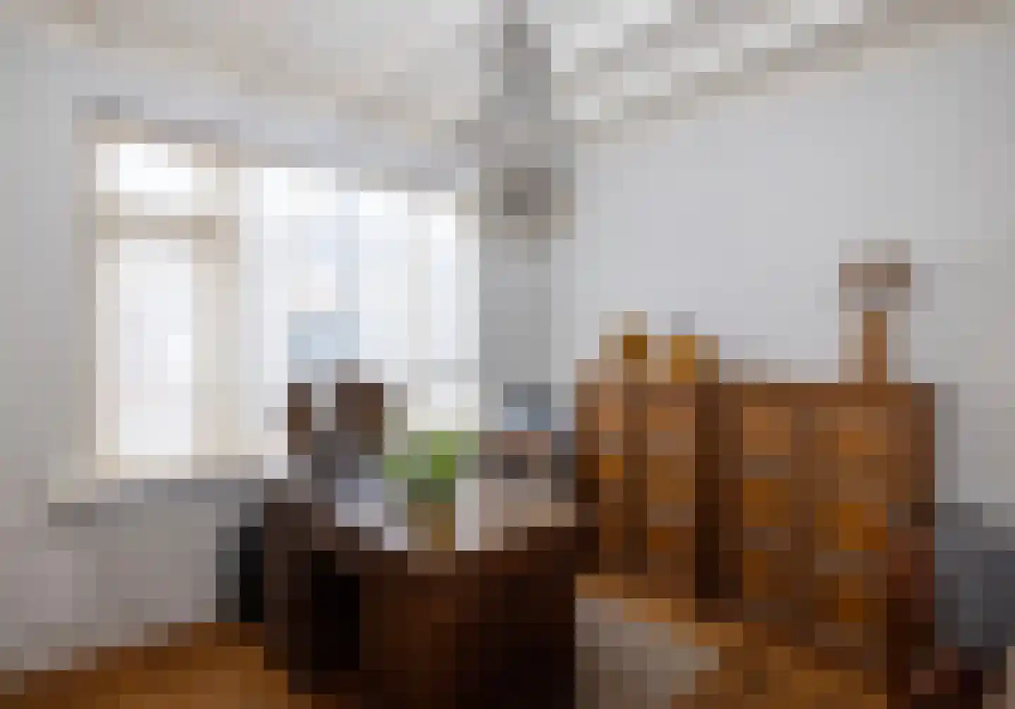 Bitswijk 16 Uden thumbnail 22