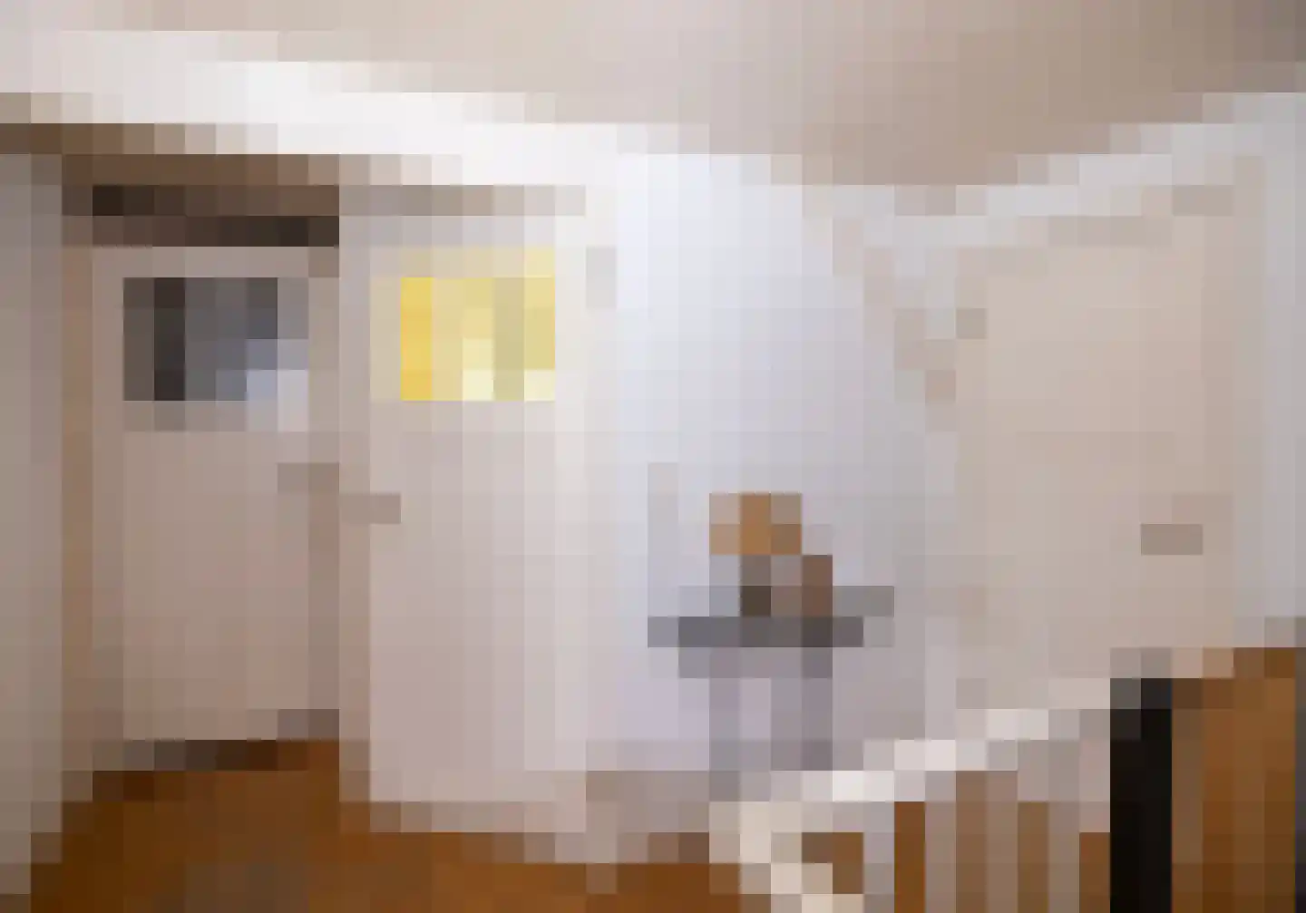 Bitswijk 16 Uden thumbnail 24