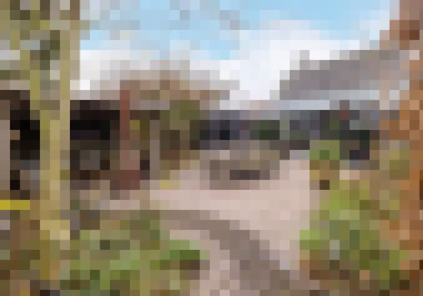 Bitswijk 16 Uden thumbnail 34