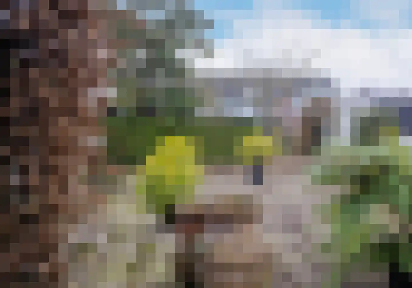 Bitswijk 16 Uden thumbnail 36
