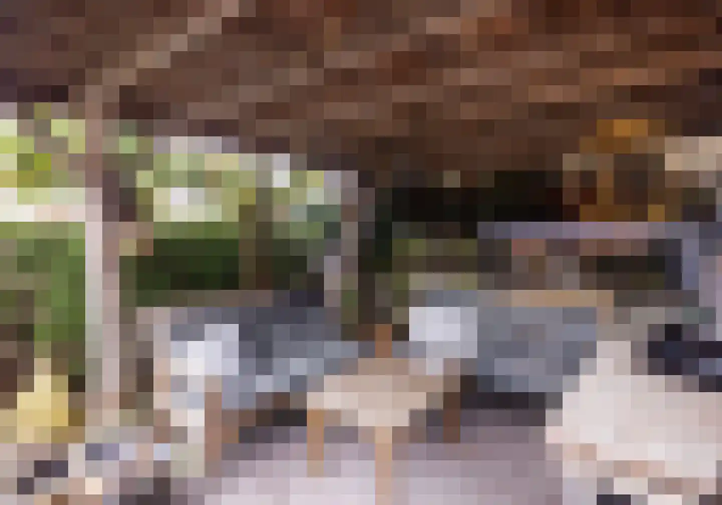 Bitswijk 16 Uden thumbnail 37