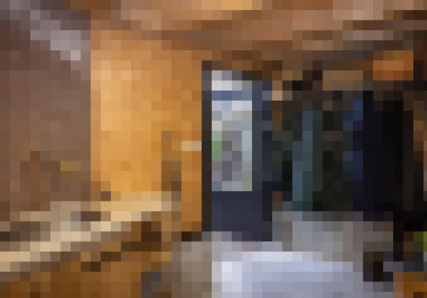 Bitswijk 16 Uden thumbnail 38