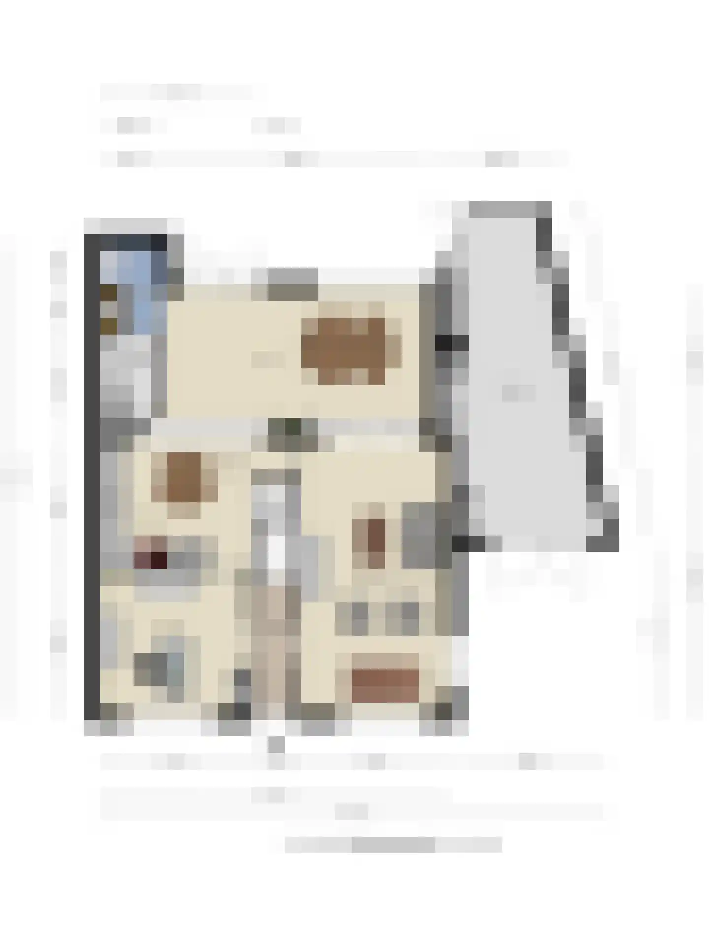 Bitswijk 16 Uden thumbnail 40
