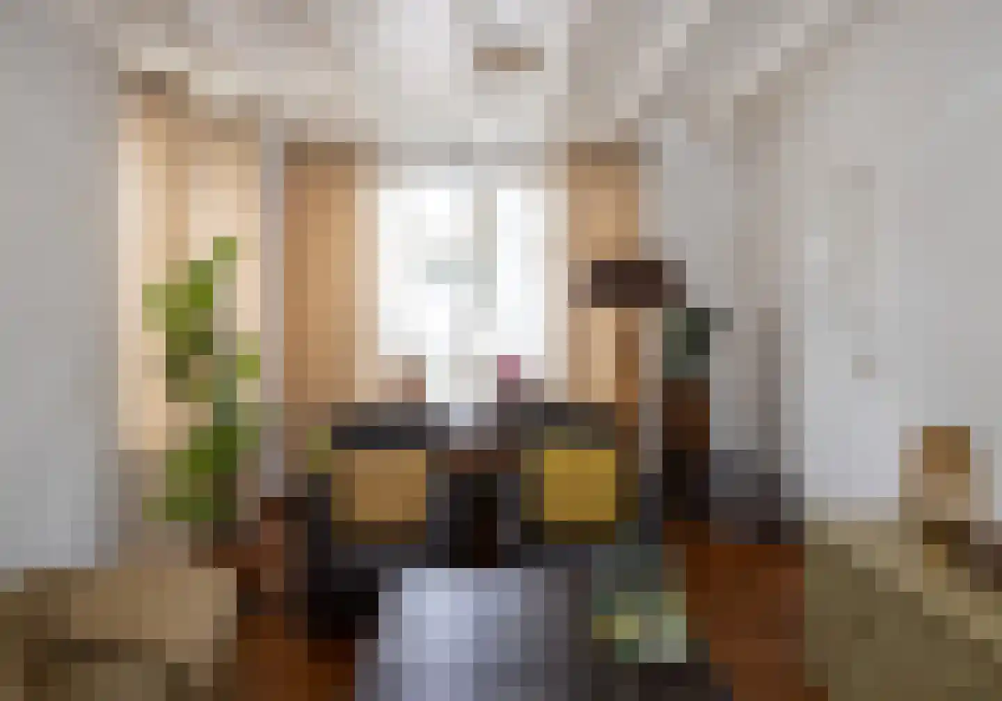Bitswijk 16 Uden thumbnail 7