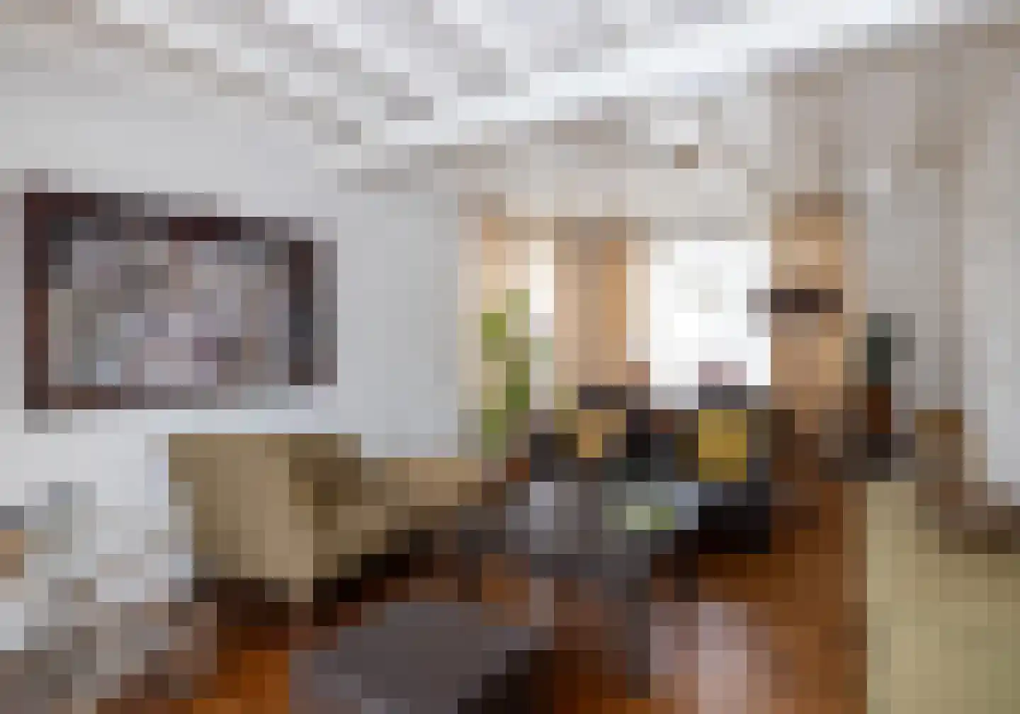 Bitswijk 16 Uden thumbnail 8