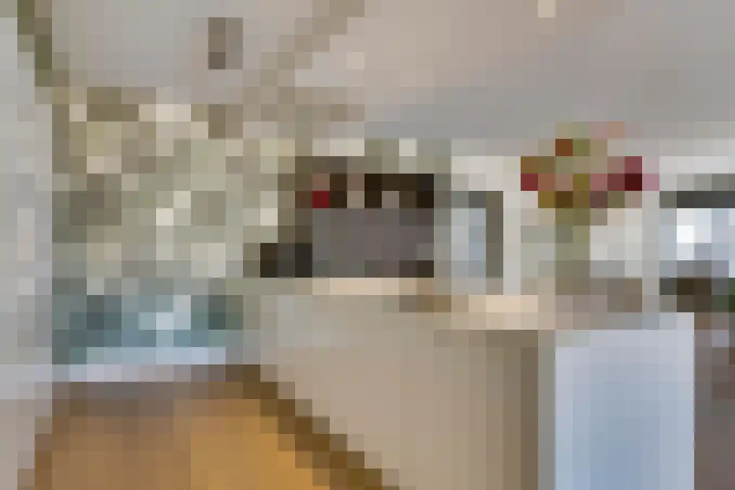 Bitswijk 19 Uden thumbnail 30