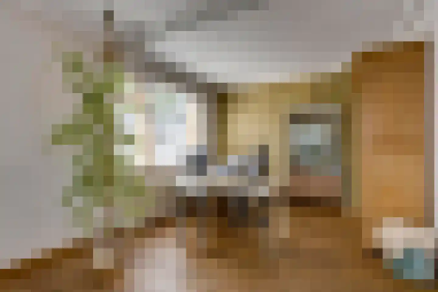 Bitswijk 19 Uden thumbnail 31