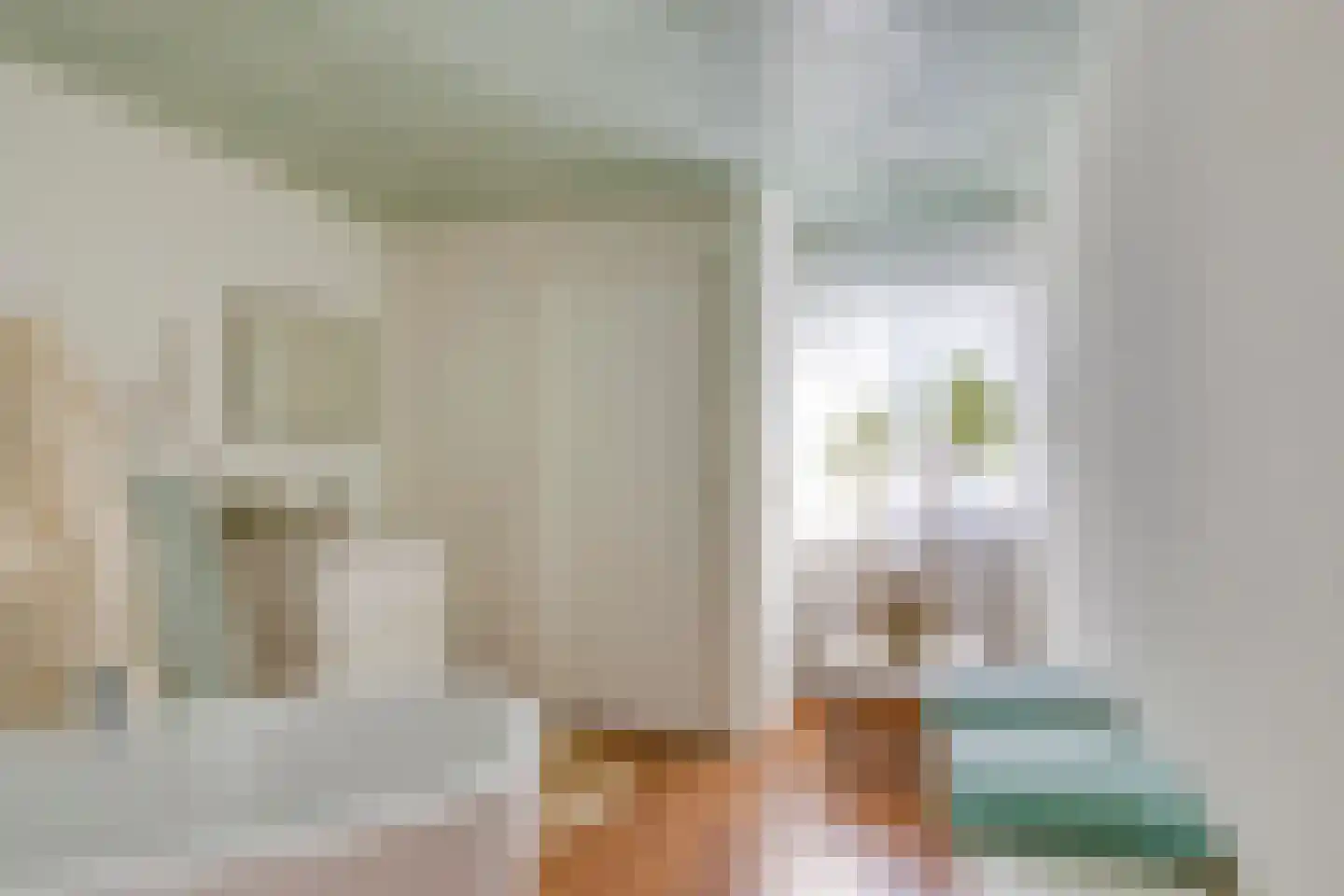 Bitswijk 19 Uden thumbnail 36