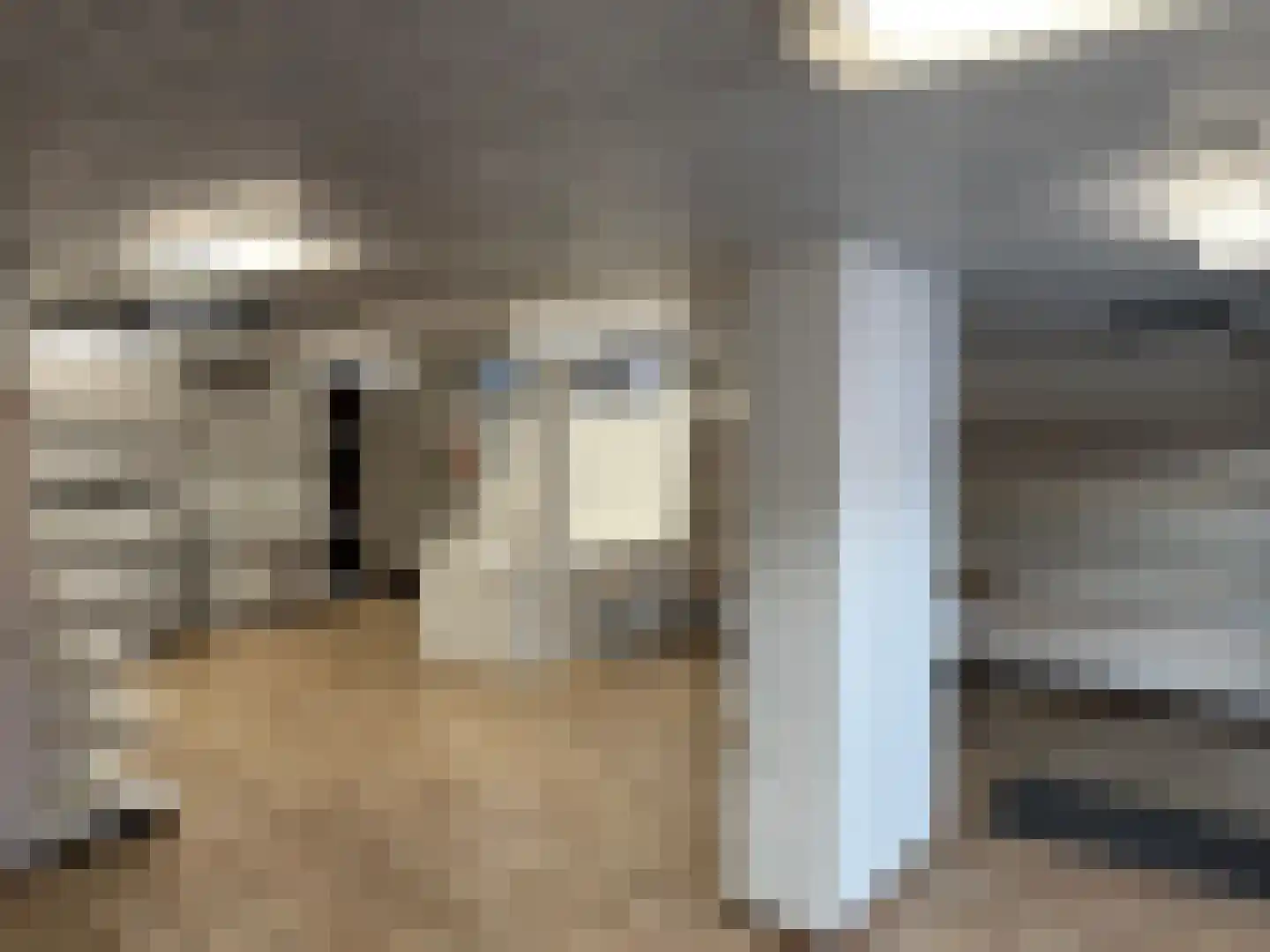 Bitswijk 19 Uden thumbnail 39