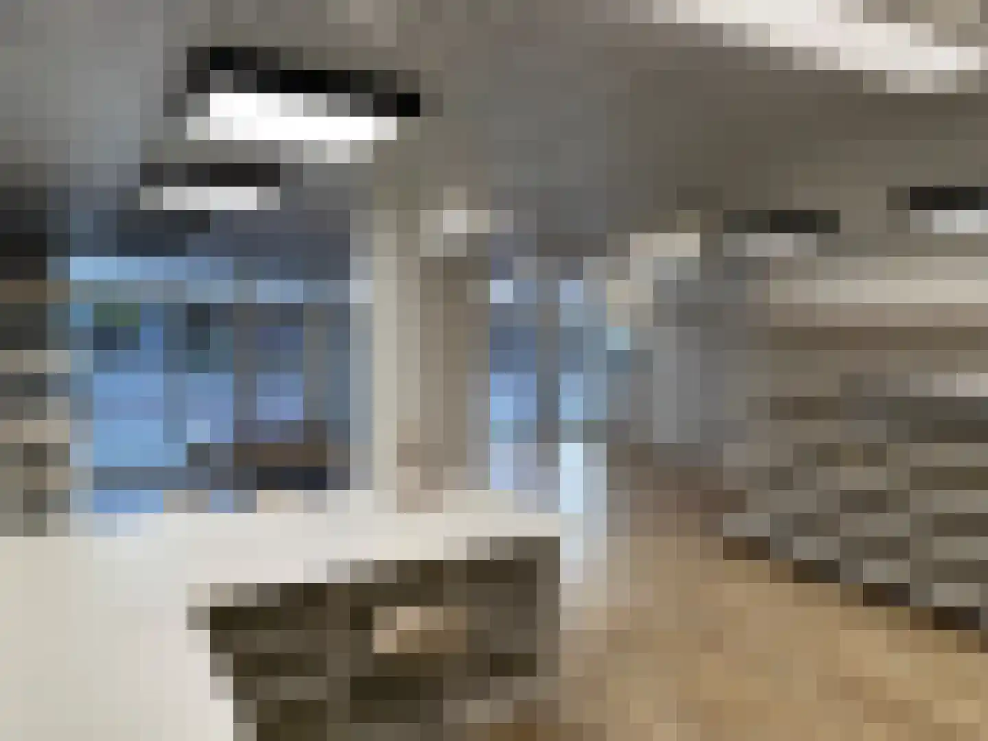 Bitswijk 19 Uden thumbnail 4