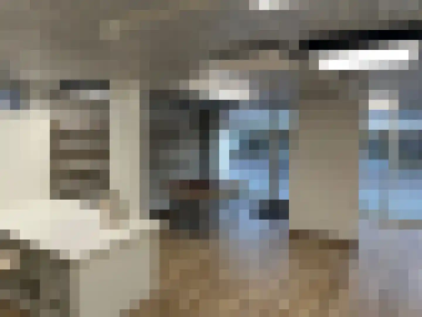 Bitswijk 19 Uden thumbnail 40