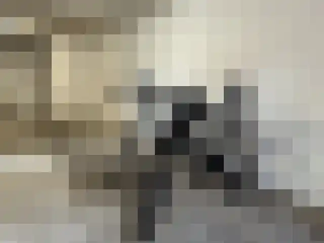 Bitswijk 19 Uden thumbnail 42