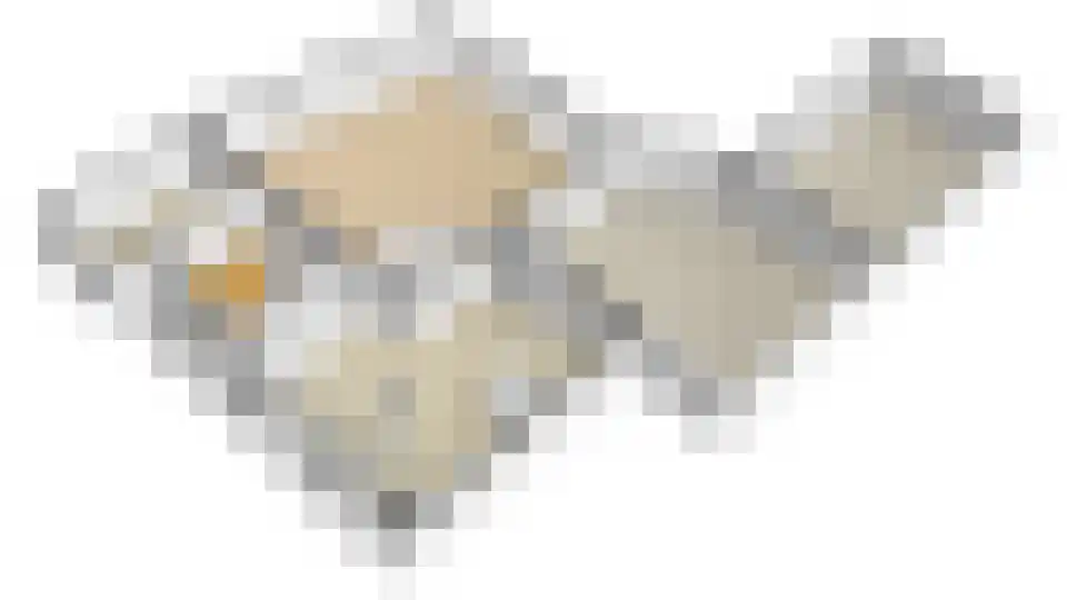 Bitswijk 19 Uden thumbnail 45