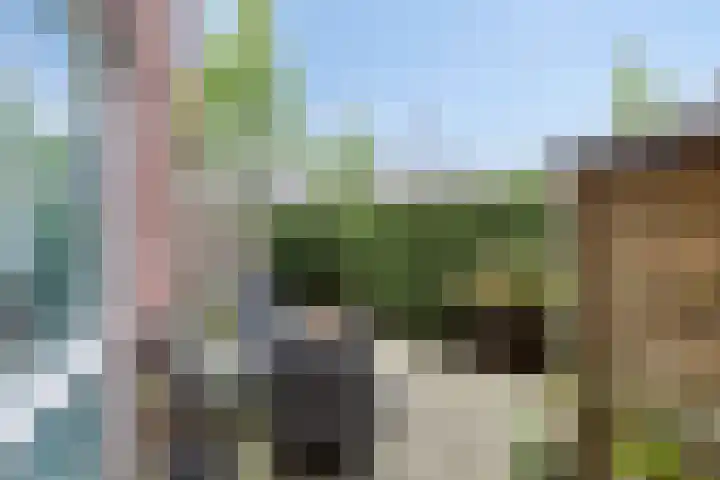 Bitswijk 22 C Uden thumbnail 16