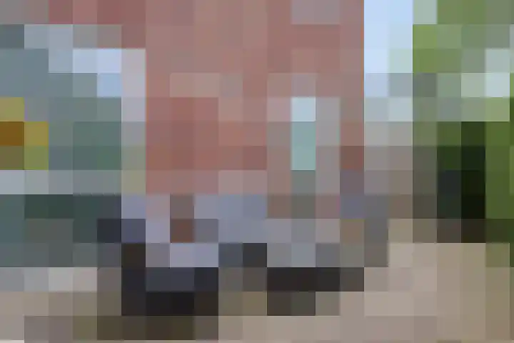 Bitswijk 22 C Uden thumbnail 18