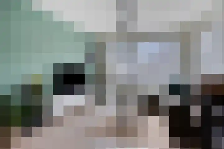 Bitswijk 22 C Uden thumbnail 5