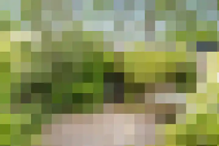 Bitterschoten 8 Leusden thumbnail 11