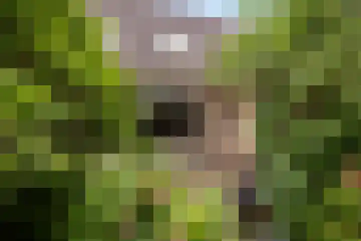 Bitterschoten 8 Leusden thumbnail 14