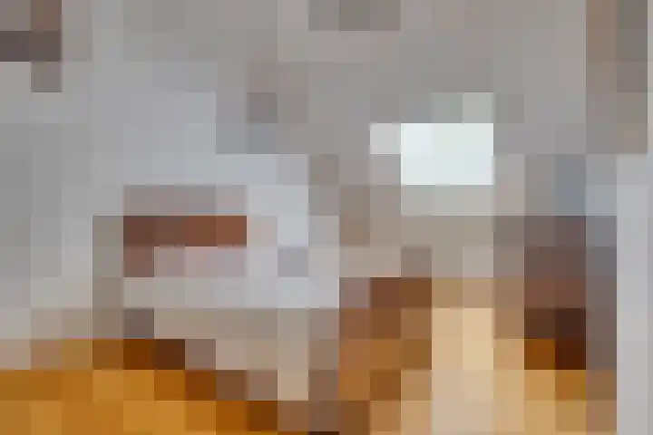 Bitterschoten 8 Leusden thumbnail 24