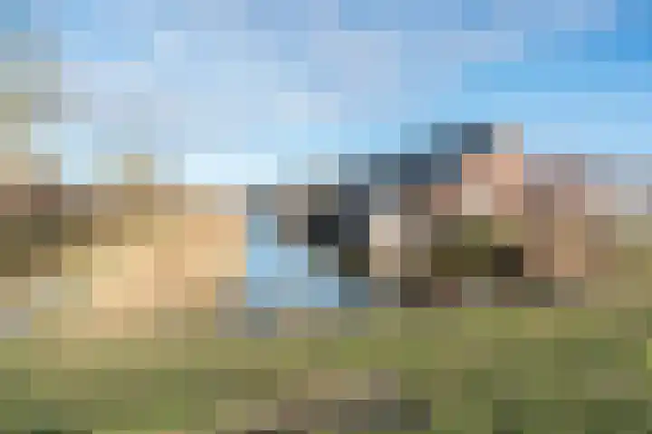 Bitterschoten 8 Leusden thumbnail 35