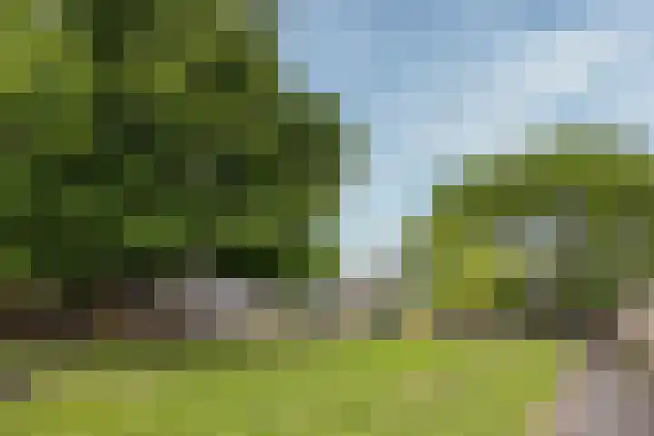 Bitterschoten 8 Leusden thumbnail 37