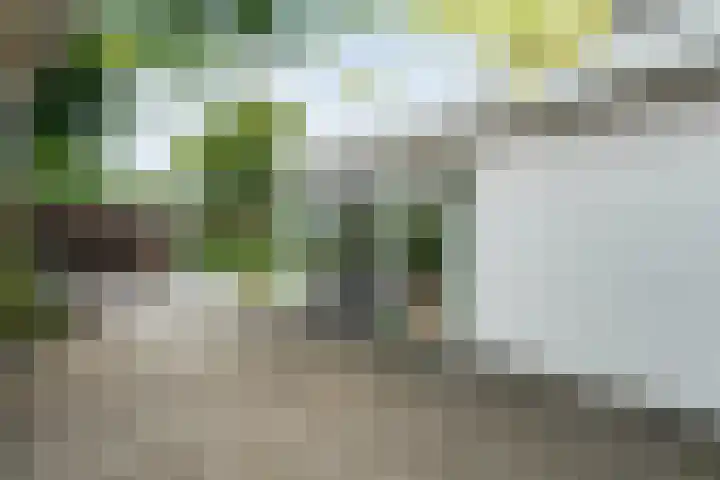 Bitterschoten 8 Leusden thumbnail 5