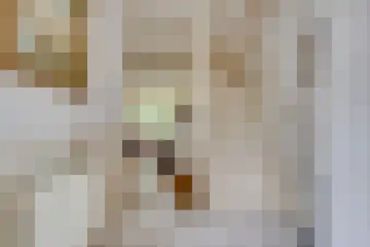Bitterschoten 8 Leusden thumbnail 5