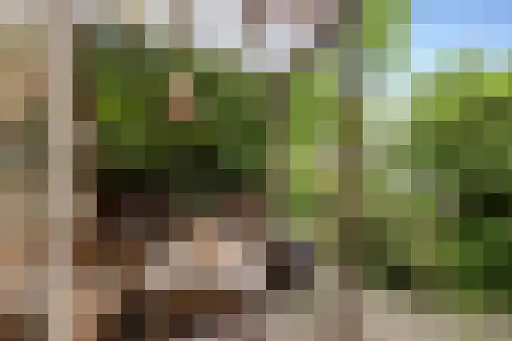 Bitterschoten 8 Leusden thumbnail 9