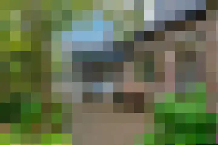 Bitterschoten 9 Leusden thumbnail 16
