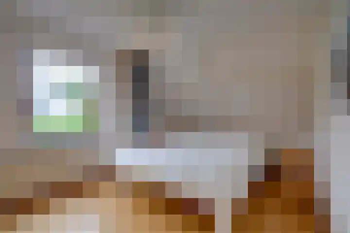 Bitterschoten 9 Leusden thumbnail 28