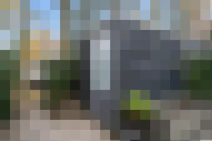 Bivak 15 Ede thumbnail 10