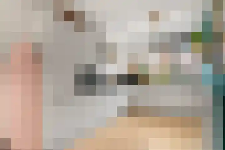 Bivak 15 Ede thumbnail 15